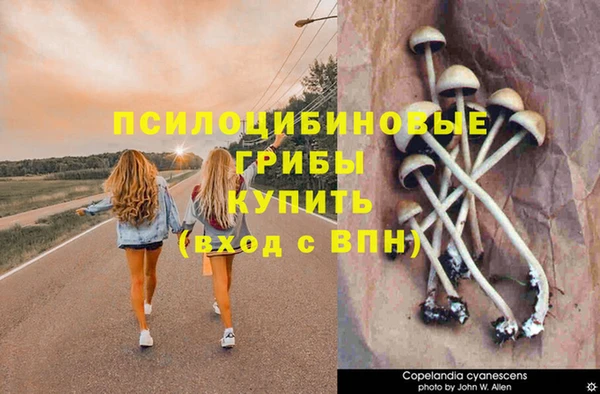 мет Алексеевка