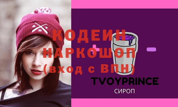 индика Ростов