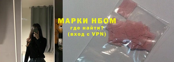 индика Ростов