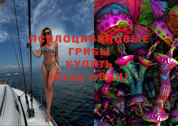 spice Россошь