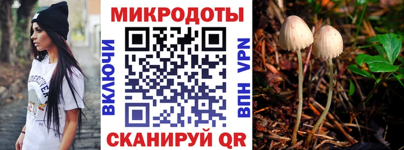 даркнет сайт Исилькуль Псилоцибиновые грибы GOLDEN TEACHER